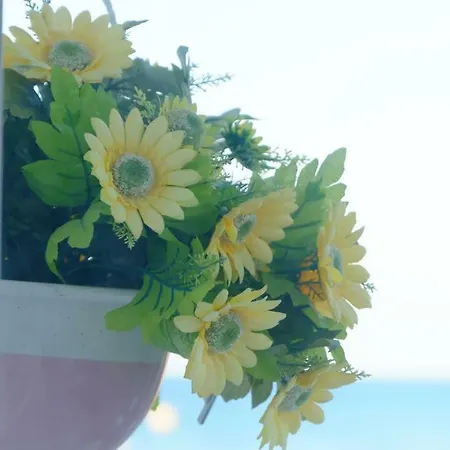 Il Balcone Sul Mare 1 *